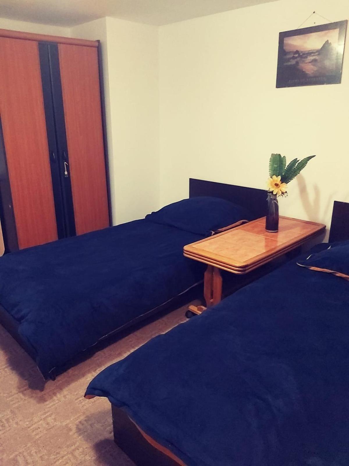 Camera Cu Baie Tina Тимишоара Екстериор снимка